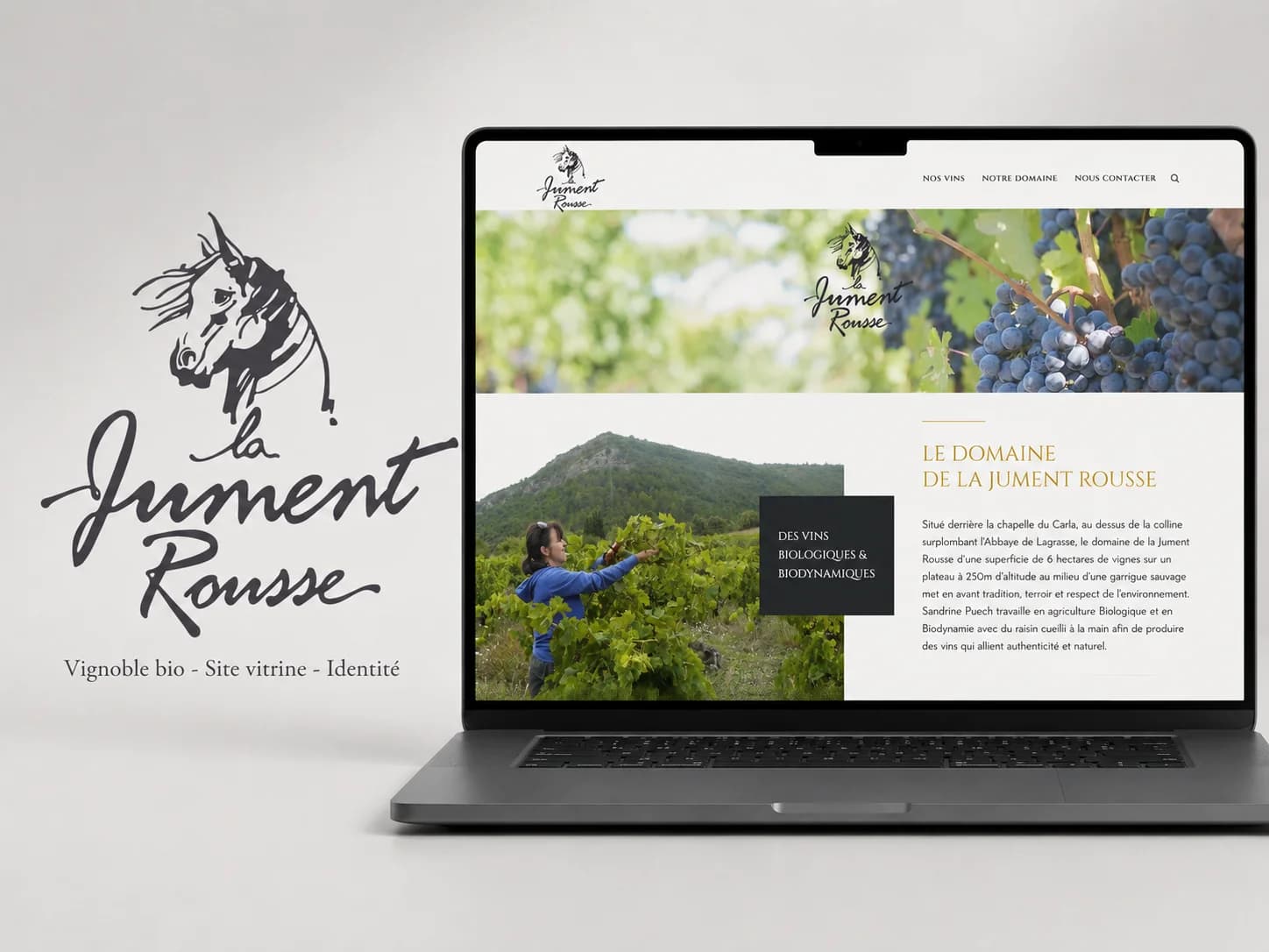 Mockup du site de La Jument Rousse, domaine viticole biologique et biodynamique